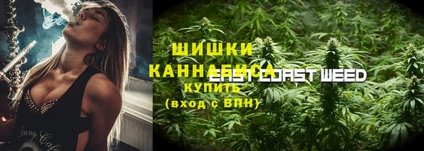 ПСИЛОЦИБИНОВЫЕ ГРИБЫ Наволоки